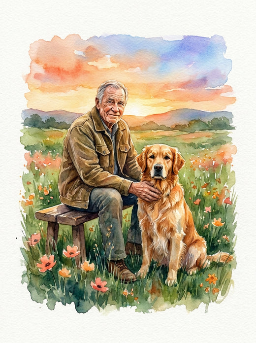 Sunset Meadows